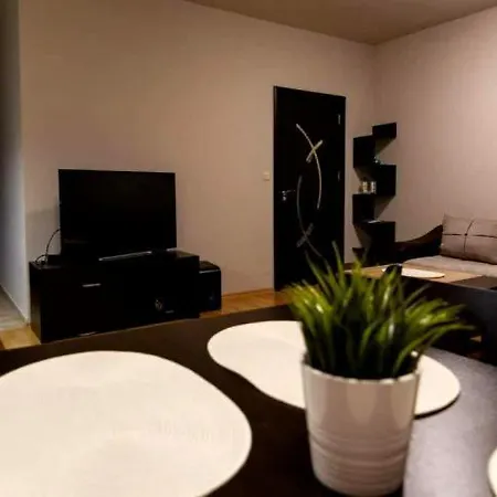 Appartement Confortable Avec Une Bonne Reparation 公寓 特鲁瓦